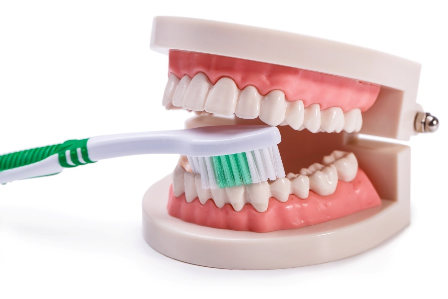 Denture (CD \ RPD) and Dental Appliance & Maintenance